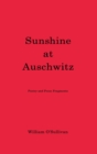 Image for Sunshine at Auschwitz : Poetry and Prose Fragments