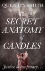 Image for The secret anatomy of candles