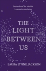 Image for The light between us  : stories from the afterlife, lessons for the living