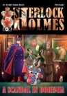 Image for A Scandal in Bohemia - A Sherlock Holmes Graphic Novel