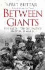 Image for Between giants  : the Battle for the Baltics in World War II