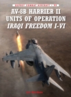 Image for AV-8B Harrier II units of Operation Iraqi Freedom I-VI : 99