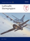 Image for Luftwaffe Sturmgruppen
