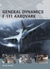 Image for General Dynamics F-111 Aardvark