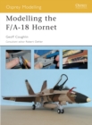 Image for Modelling the F/a-18 Hornet
