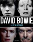 Image for David Bowie  : a life in pictures