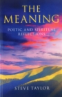 Image for The meaning: poetic and spiritual reflections