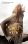 Image for The wolf in the attic