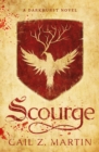 Image for Scourge : A Darkhurst Novel