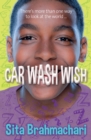 Car wash wish - Brahmachari, Sita