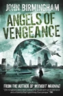 Image for Angels of vengeance