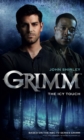 Image for Grimm: The Icy Touch