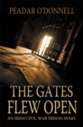 Image for The gates flew open: an Irish civil war prison diary