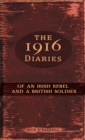 Image for The 1916 diaries  : of an Irish rebel and a British soldier