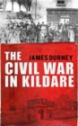 Image for The Civil War in Kildare