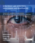 Image for Strategic Learning &amp; Development: Strategy, Processes and Resources: (Learning &amp; Development in Organisations Series #3)