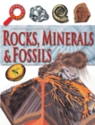 Image for Rocks &amp; fossils