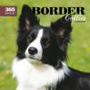 Image for Border Collies 365 Days W