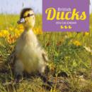 Image for British Ducks W