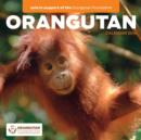 Image for Orangutan W / Carous