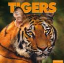 Image for Tigers W / Carous