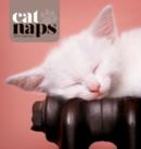 Image for Cat Naps Easel : Desk Calendar