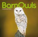 Image for Barn Owls : Mini