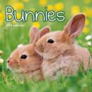 Image for Bunnies M / Carous