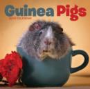 Image for Guinea Pigs M / Carous