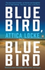 Image for Bluebird, bluebird  : a novel