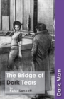 Image for The bridge of dark tears
