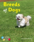 Image for Breeds of Dogs : Phonics Phase 4