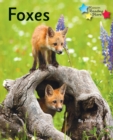 Image for Foxes : Phonics Phase 5