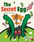 Image for The Secret Egg