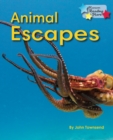 Image for Animal Escapes