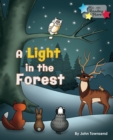 Image for A Light in the Forest