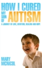 Image for How I Cured My Son of Autism - A Journey of Love, Devotion, Healing and Hope