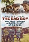 Image for Bad Boy : Bert Hall, Aviator and Mercenary of the Skies