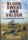 Image for Blood, sweat and valour  : 41 squadron RAF, August 1942-May 1945