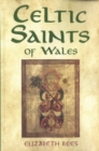 Image for Celtic Saints of Wales