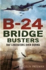 Image for B-24 Bridge Busters