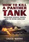 Image for How to Kill a Panther Tank