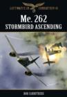 Image for Me. 262 Stormbird Ascending