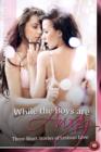 Image for While the Boys are Away : Three Short Stories of Lesbian Love
