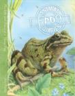 Image for Animal Diaries: Frog