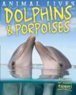 Image for Animal Lives: Dolphins and Porpoises