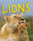 Image for Animal Lives: Lions