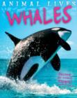Image for Animal Lives: Whales