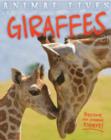 Image for Animal Lives: Giraffes
