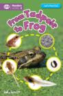 Image for From tadpole to frog